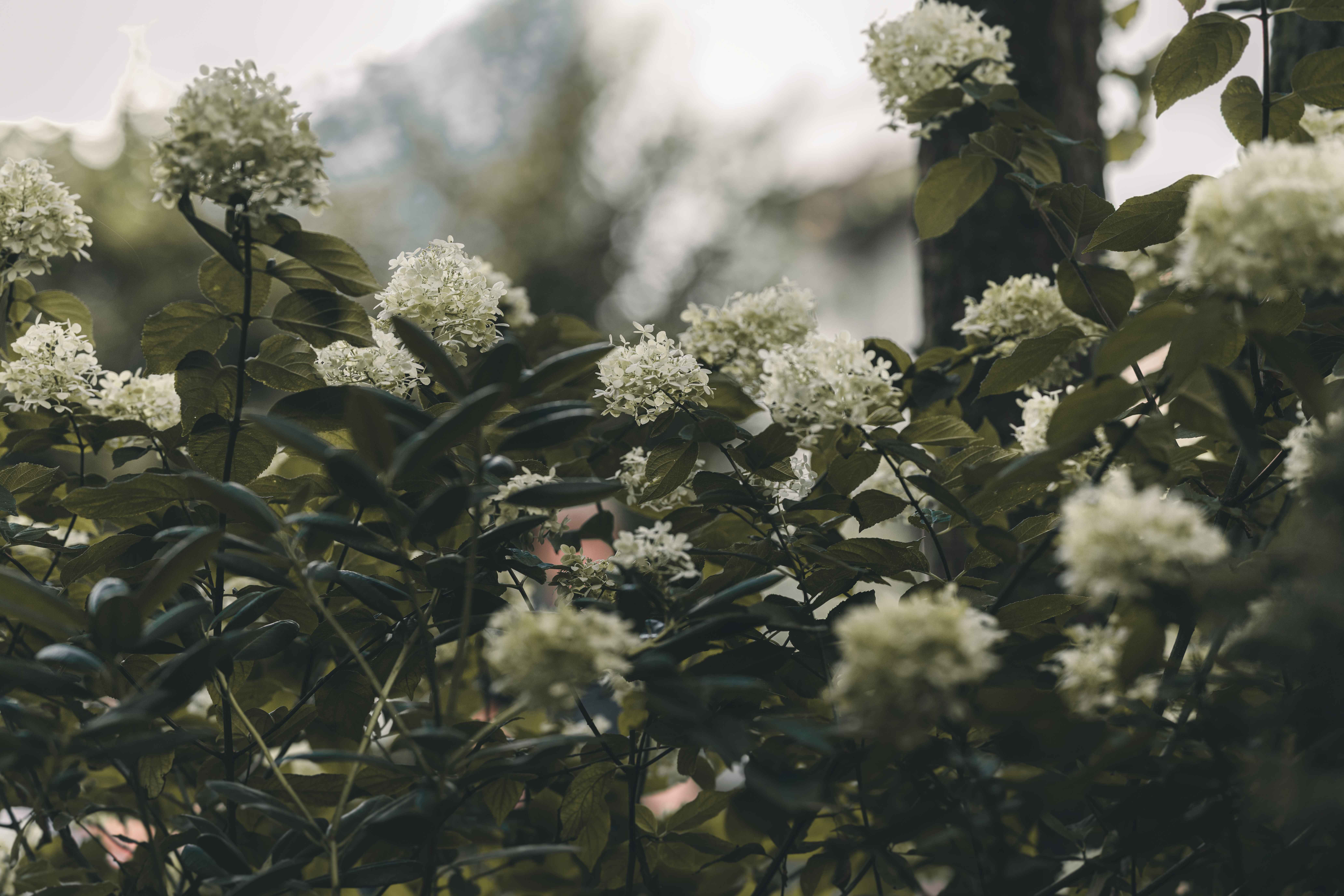 Florales Hochzeitsdetail bei kirchlicher Hochzeit nahe Leisnig in Sachsen – natürliche Hochzeitsreportage