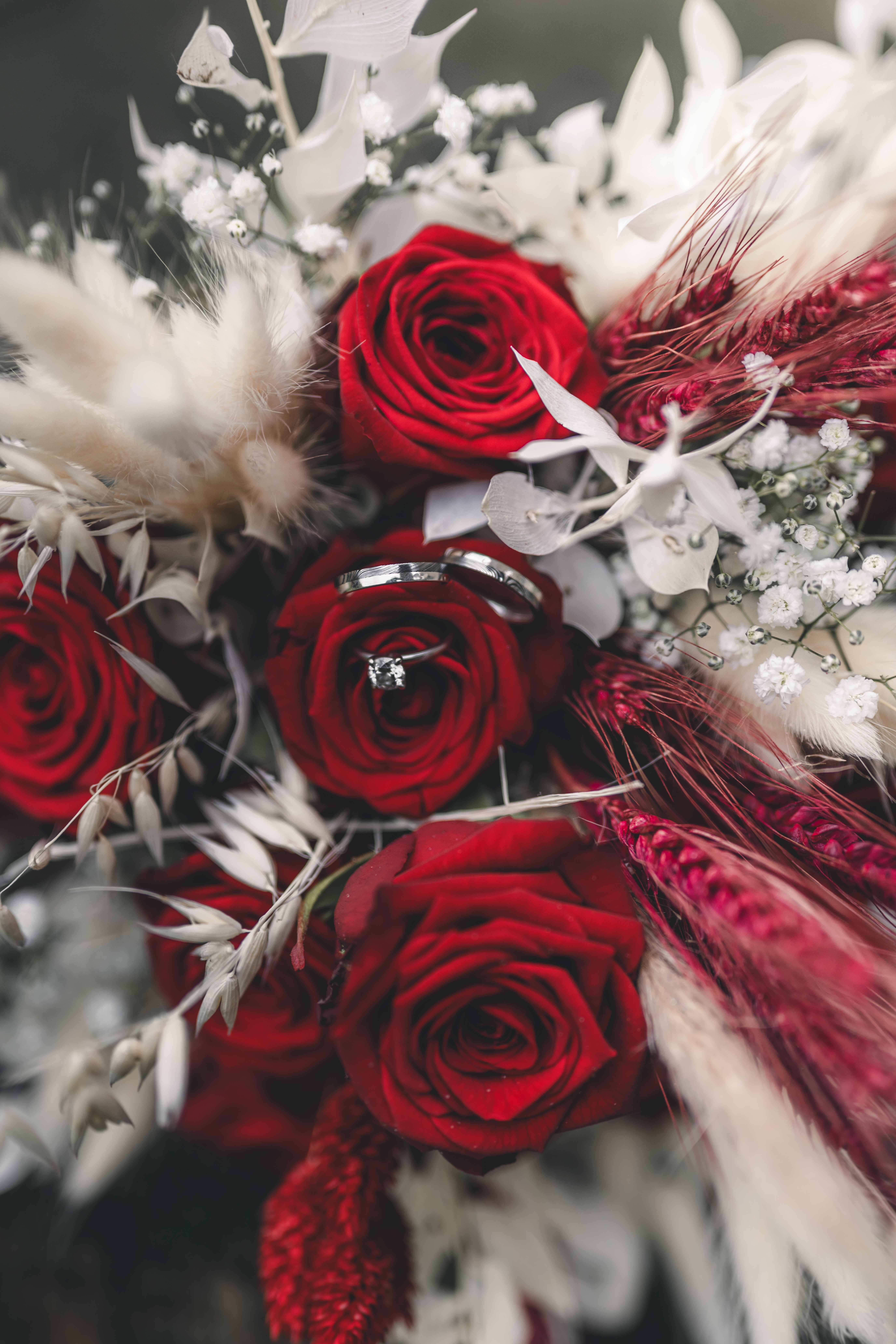 Detailreiche Makroaufnahme der silbernen Eheringe und des Verlobungsrings, platziert inmitten von roten Rosen und weißen Trockenblumen bei einer Hochzeit in Sachsen.