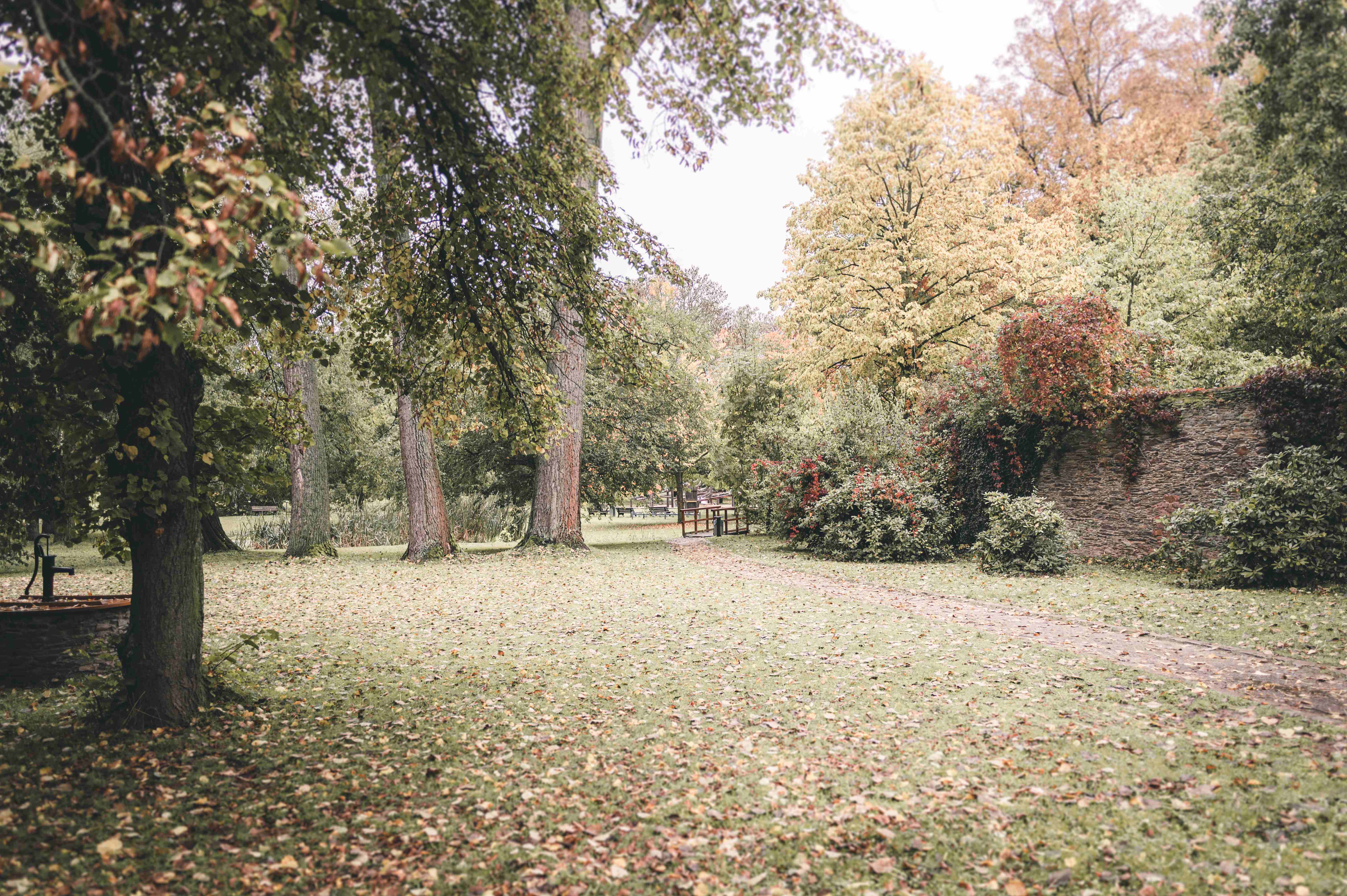 Eine weite Aufnahme des grünen und herbstlich gefärbten Parks am Wasserschloss Klaffenbach, ideal für ein natürliches Brautpaarshooting.