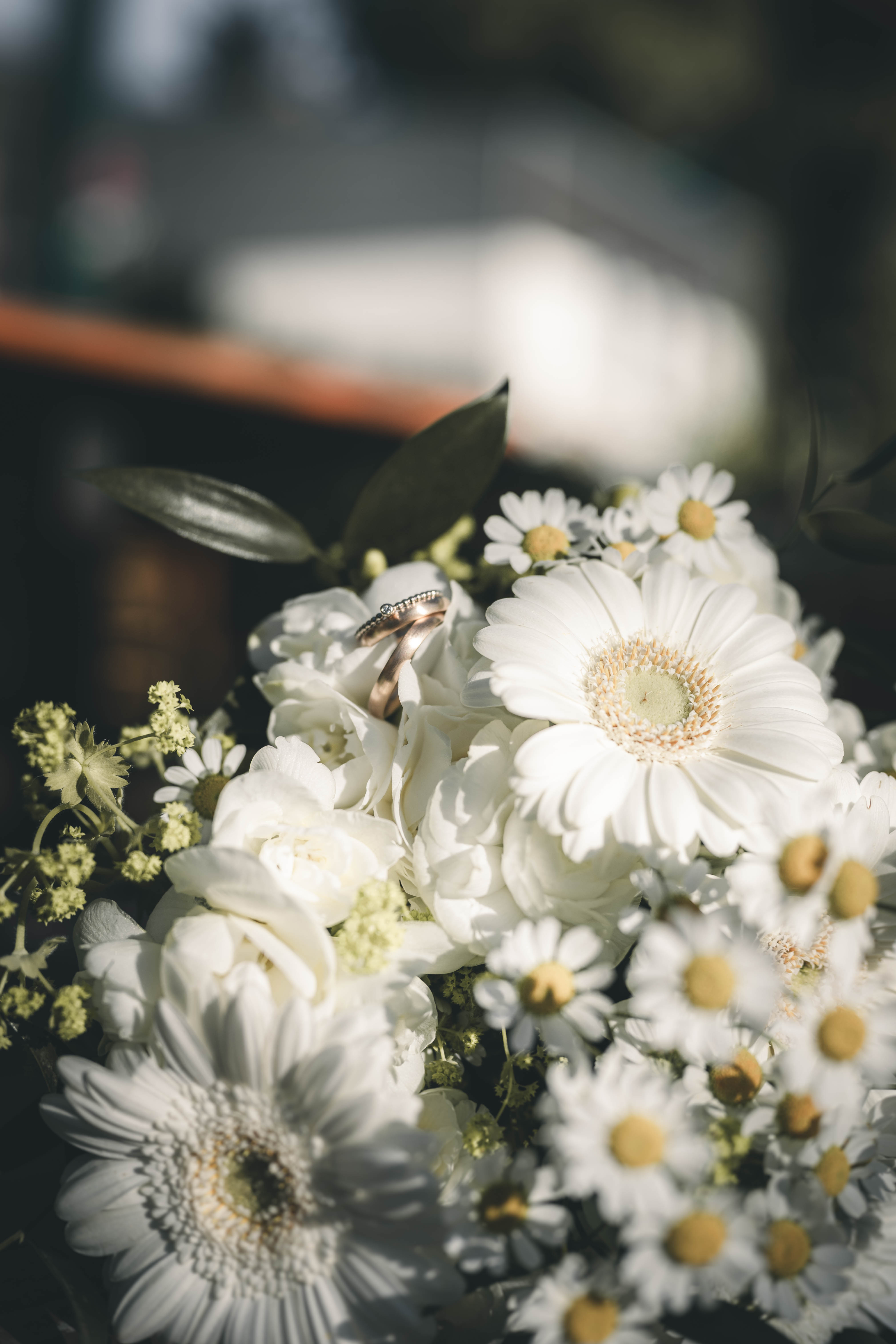 Eine detailreiche Nahaufnahme der goldenen Eheringe, die elegant auf den weißen Blüten von Gerberas und Kamille im Brautstrauß ruhen.