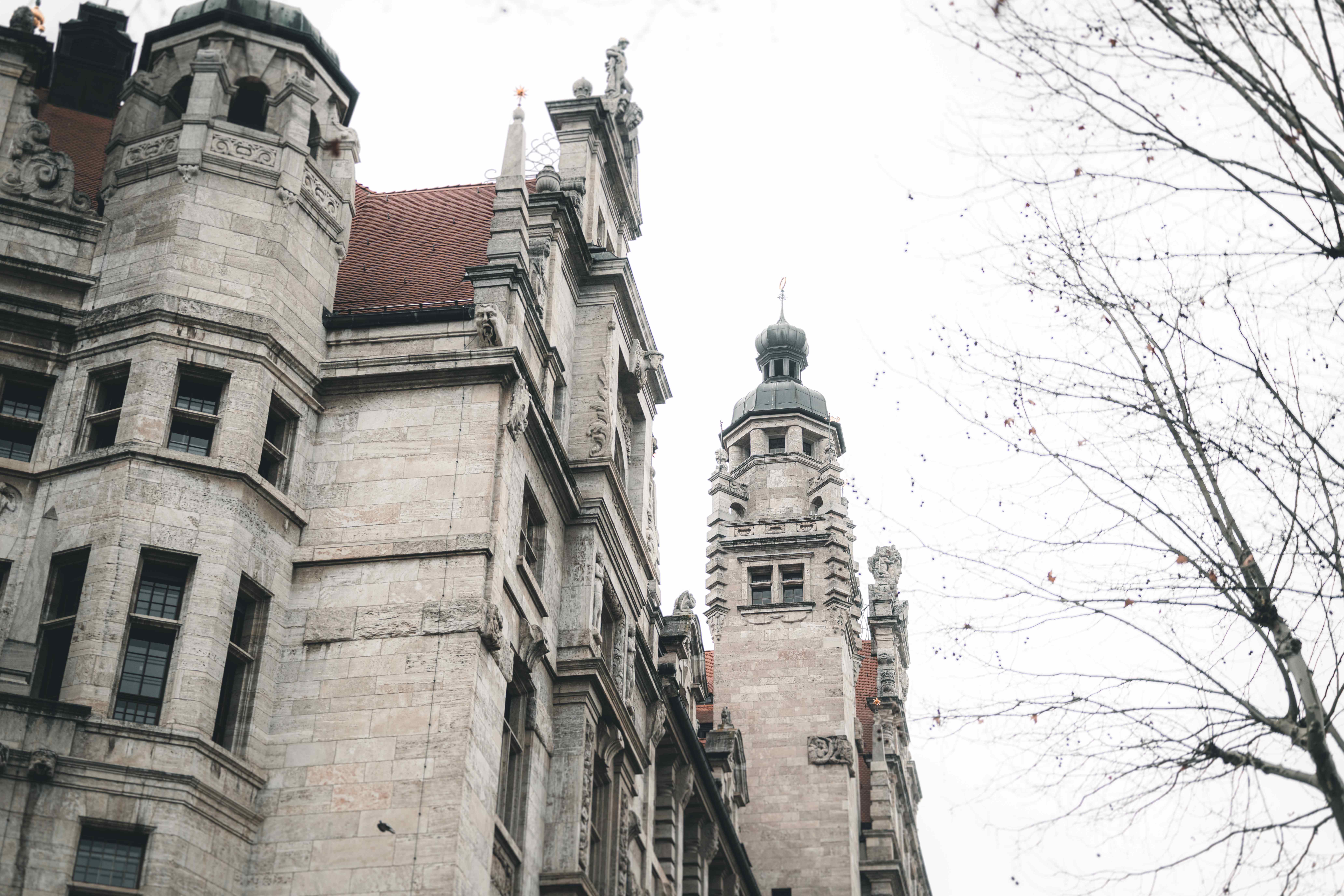 Blick nach oben auf die historischen Türme des Neuen Rathauses Leipzig im Februar, eingerahmt von winterlichen, kahlen Baumkronen.